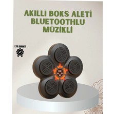 Astraltech Bluetoothlu Akıllı Boks Antrenman Cihazı Işıklı Hedefli Kardiyo ve Fitness Aleti