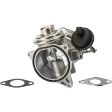 Vw T5 Touareg 2.5r5 Tdı 2.5tdı 2003- Egr Valfi 076131501B Wisco
