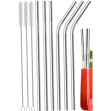 Astraltech Orret Home 6’lı Krom Paslanmaz Metal Pipet Seti – 3 Adet Pipet Temizleme Fırçası Hediyeli, Çevre Do