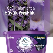 Livizmir Moda Mini Jel Lavanta Ferahlığı 70 G
