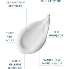 Livizmir Moda The Vivia Yoğun Bakım ve Nemlendirici Bariyer Destekleyici Cica Krem Madecassoside, Hyaluronik Asit 50 ml