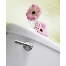 Livizmir Moda (Brushed Nickel) - Moen DN6801BN Sage Inspirations Toilet Tank Lever, Brushed Nickel