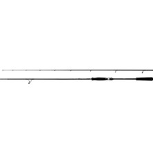 Shimano Kamış Bassterra A Power Game Spin 2,74M 9'0" 21-56G 2pc
