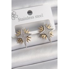 Pirinç Gold Gümüş Renk Zirkon Taşlı Kutup Yılıdız Model Kadın Küpe 5886 - PINVOX4549-387