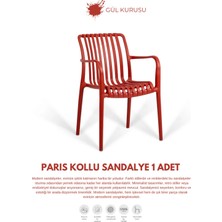 Empressco Paris | 1 Adet Kollu Lux Cafe & Restaurant Sandalyesi