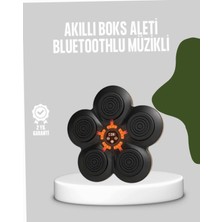 Astraltech Akıllı Müzikli Boks Makinesi Bağlantılı Işıklı Hedefli Fitness Aleti