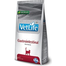 Frefly Store Vet Life Cat Gastroıntestınal 5kg
