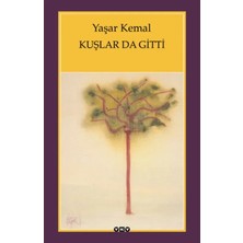 Esranın Dünyası Kuşlar Da Gitti