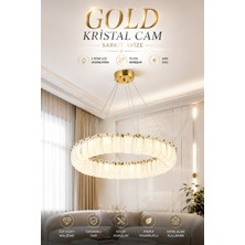 Elvora Home Modern (Premium) Luxury Ledli 60W Gold Kristal Cam Sarkıt Avize Luxury Salon Oturma Odası Avizesi Modelleri