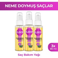 Elidor Saç Bakım Yağı Avokado ve Castor Oil Nemlendirici Etki 80 ml X3