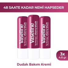Vaseline Lip Therapy Dudak Bakım Kremi Cherry Blush 4.8 gr X3