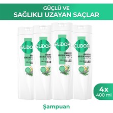 Elidor Şampuan Biberiye Dökülme Karşıtı 400 ml X4