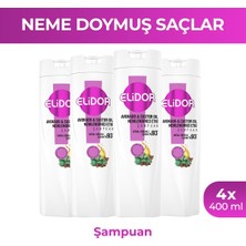 Elidor Şampuan Avokado ve Castor Oil Nemlendirici Etki 400 ml X4