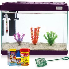 Kanki Pet 50 Cm KP5018 Mor Renkli Kapaklı Akvaryum Hazır Set ( 26 Litre )