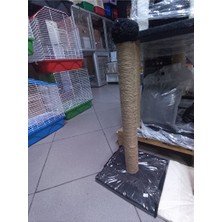 Marvielle Kedi Tırmalama ve Egzersiz Alanı - Kedi Tırmalaması