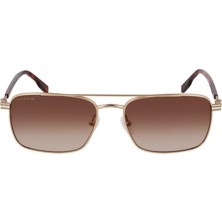 Lacoste L L264S 710 58-17-145 Erkek Güneş Gözlüğü
