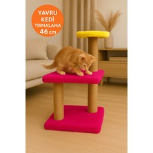 Marvielle Renkli Katlı Yavru Kedi Tırmalama Tahtası, Eğlenceli ve Çok Katlı - Kedi Tırmalaması