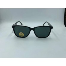 U.s. Polo Assn. U.s.p.a. 0500 C1 57-16-145 Güneş Gözlüğü
