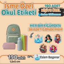 Kapbirhediye Okul Etiketi Isme Özel Kalem Defter Etiketi Kraliçe 5 Temalı 190 Adet
