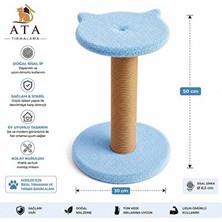 Marvielle Kedi Yüzü Temalı Tırmalama Tahtası ile Eğlence - Kedi Tırmalaması