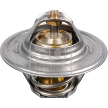 Febi Febı 17910 Termostat