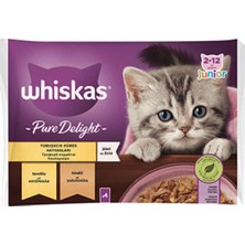 Pouch Pure Delight Jöle Içinde Tavuklu ve Hindili Yavru Kedi Konservesi 4X85 gr