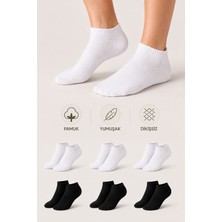 Ducks Socks Kadın Pamuklu Dikişsiz Çorap 6'lı Patik Günlük Çorap