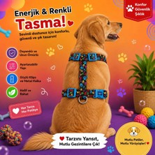 Pawlook Design, H Tipi, Köpek Göğüs Tasması, Köpek Tasması, Göğüs Tasması,