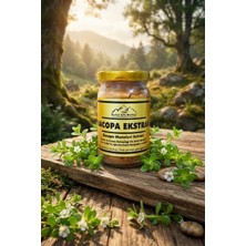 Bacopa Monnieri Ekstrak 50 gr