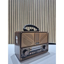 Elarque Nostaljik Radyo Renkli Işıklı Çok Fonksiyonlu Radyo - Fm, Bluetooth ve USB Girişli