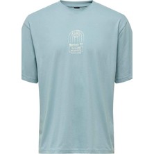 Only & Sons Onsmalık Lıfe Rlx Ss Tee Tr Tourmaline