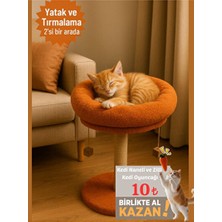 Elarque Kedi Tırmalaması Çift Fonksiyonlu Kedi Tırmalama ve Yatak Seti - Çok Amaçlı ve Eğlenceli Tas