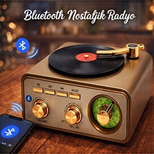 Elarque Nostaljik Radyo Vintage Çok Bantlı Bluetooth Radyo ve Hoparlör