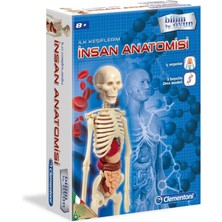 Küçük Hazine 64297 Insan Anatomisi - Bilim ve Oyun +8 Yaş