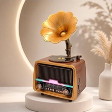 Elarque Nostaljik Radyo Retro Görünümlü Everton Bluetooth Radyo, Müzik ve Ses Deneyimi