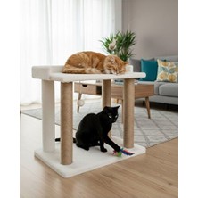 Elarque Kedi Tırmalaması Yumuşak Yataklı Ponlu Kedi Tırmalama Platformu