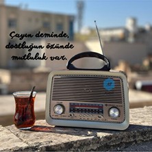 Elarque Nostaljik Radyo Şarjlı Fenerli Bluetooth Radyo ile Nostaljik Müzik Kutusu