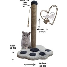 Elarque Kedi Tırmalaması Pati Modelli Büyük Boy Kedi Tırmalama Tahtası - Oyun ve Tırnak Bakımı