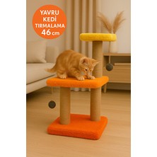 Elarque Kedi Tırmalaması Renkli Katlı Tırmalama Tahtası ile Kedinizin Eğlencesi