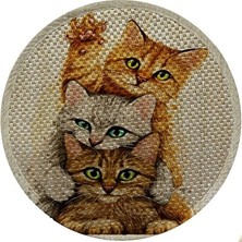 Elarque Kedi Tırmalaması Desenli Çift Taraflı Kedi Tırmalama Paspası - 36X36 cm