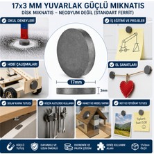 Ett Mıknatıs 17X3 mm Yuvarlak Güçlü Mıknatıs Disk Mıknatıs