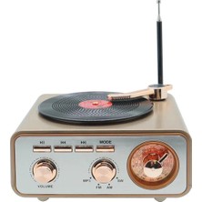 Magicool Metalik Nostaljik Tasarım Plak Çalar Görünümlü Radyolu Bluetooth Hoparlör Retro Müzik Plak