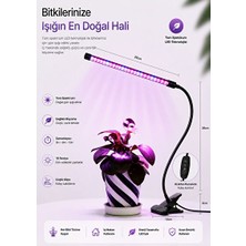 Elarque Masa ve Gece Lambası Tam Spektrum LED Bitki Yetiştirme Lambası ile Bitki Bakımı