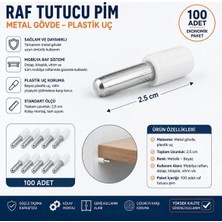 İlka Ilka Plastik Başlı Mobilya Cam Tutucusu Bağlantı Dolap Pimi Beyaz Raf Pimi Metal (100 Adet)