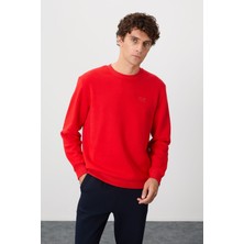 Air Jones Omar Fiesta Şardonlu Erkek Sweatshirt - 88137