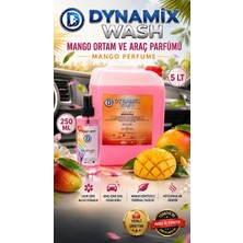 Dynamix Wash Mango Parfüm 2'li set 5 Lt - 250 ml Araç Parfümü Oto Parfümü Ortam Parfümü