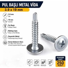 Std S3925 Metal Pul Başlı 3.9X19 mm Akıllı Vida Pul Başlı 19 mm Vida (250 Adet)