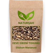 Naturşah Deve Dikeni Tohumu 50 gr / Silybum Marianum