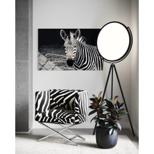 Baskı Perisi Zebra Cam Tablo 196