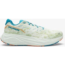 Salomon Aero Glide 2 Erkek Krem Koşu AYAKKABISI.4527